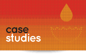 Project Case Studies Button